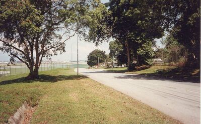 1988-Upper Changi Road looking south towards the crossing of the airfield apron, Airfield on the left
