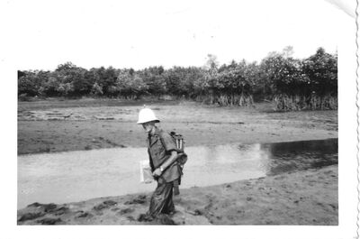 Pulau Tekong Mangrove Swamp
Jim Parker
