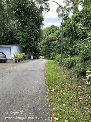 Tanglin-Dempsey_035_28Custom29.JPG