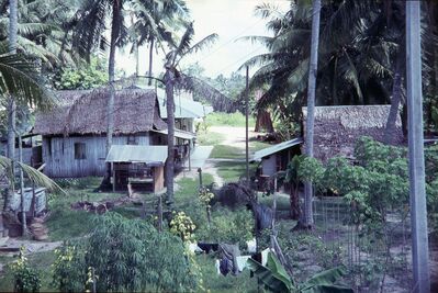 Kampong
