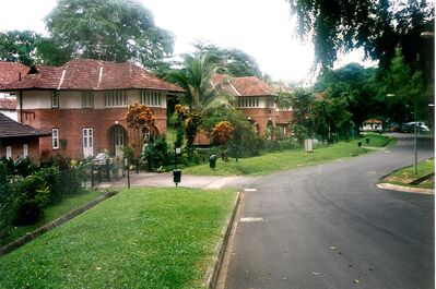 Singapore Naval Base Housing - Wellington Road 1998
View of housing on Wellington Road. Picture taken from the same spot as the photo taken in 1929 showing the houses under construction. In 1998 these houses were leased to the US Navy for their staff and families. It was interesting to learn that 'folklore' amongst the USN families was that these houses were built by the Japanese during occupation for their officers using forced British labour. The logic - each house had a 'Geisha' room at the rear. I guess it did look like a Geisha room but it was actually there for the Amah!     
